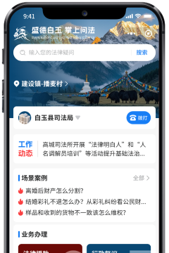 政务服务 APP